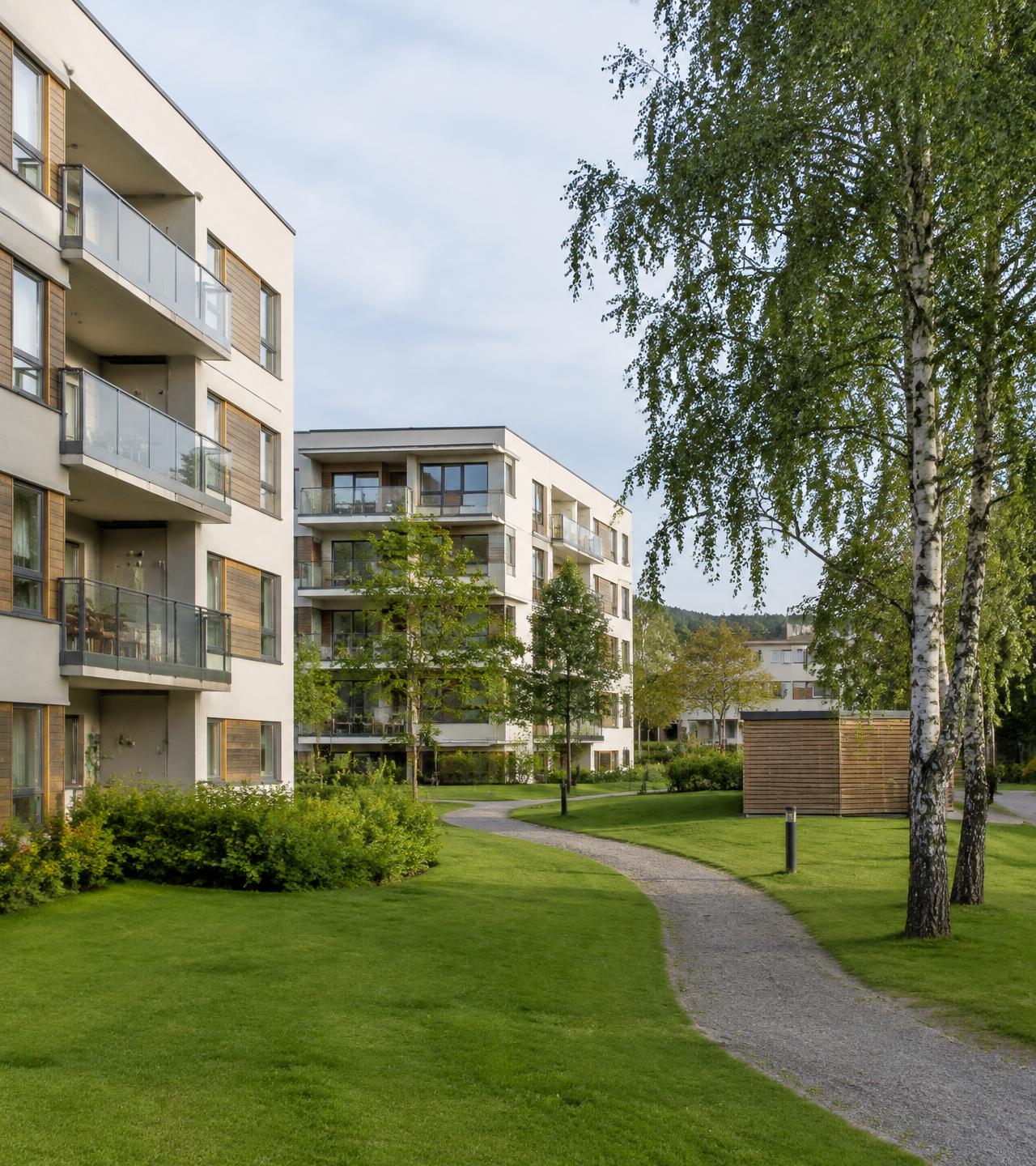 Illustrasjon: grønt boligområde med blokker, bjørketrær og gangvei